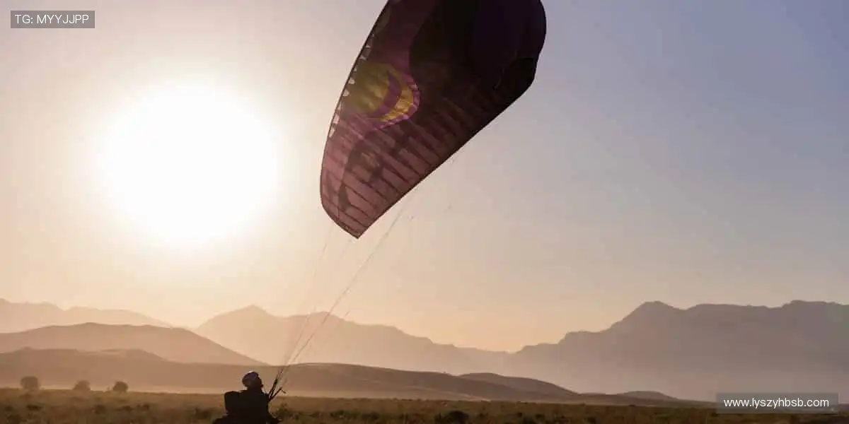 📱零时差直击赛场，直播让你与热爱同频共振！